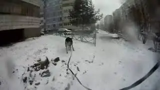 Тренировка 15.12