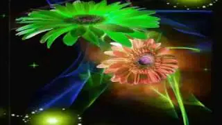 STOJA-Kakva Sam Takva Sam promo 2010.wmv