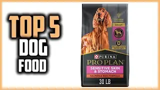 ✅Top 5 Best dog food to consider in 2024