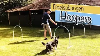 Hoopers Agility Basistraining [Hundeschule und Hundetraining Online]