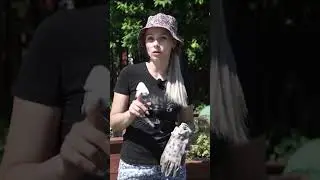 НЕ ЗАБУДЬТЕ!!! Что посадить в июне НА ОГОРОДЕ