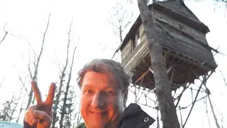Домик на дереве (осень 2020)