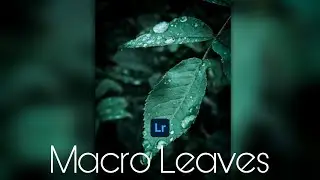 Macro Leaves Presets DNG Free Download - Lightroom Mobile Tutorial . 'RV EDITING'