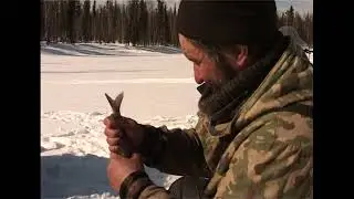 хариус на рожне и чай на реке