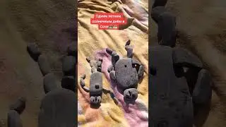 Одним теплым солнечным днём в Сочи 🏝️🌅