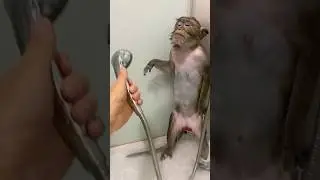 Утренний душ для Читы