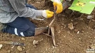Çapa motoru ile arık açarak patates ektim