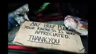 Facing the Facts: Unemployment, Poverty and Homelessness in Australia
