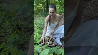 В телеге