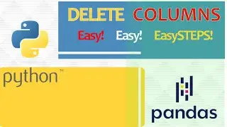 Delete columns from Dataframe in Python-5 Easy ways!
