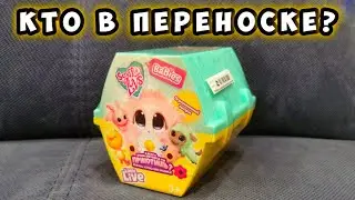 Кто в ПЕРЕНОСКЕ? Распаковка Scruff a Luvs