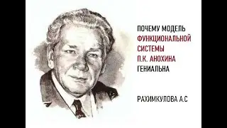 Why P. K. Anokhin's Functional System Is Brilliant
