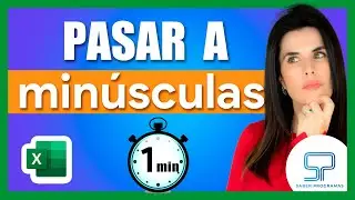 ¡Convierte TEXTO en MINÚSCULAS en Excel en Segundos! 🔠💻