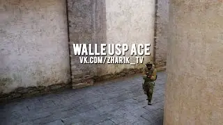 CS:GO - Walle usp ace!