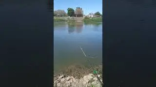КАРАСЬ РЫБАЛКА в ЖИВОПИСНОМ МЕСТЕ!