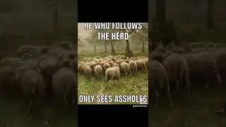 Who Follows