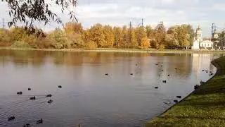 Vertex Impress Cube test video