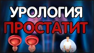 Урология. Лекция 10. Простатит. Синдром хронической тазовой боли
