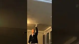 Enduire un plafond après entoilage