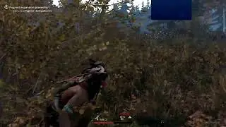 This Land Is My Land