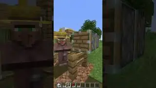 😱 He does not sell goods profitably in Minecraft