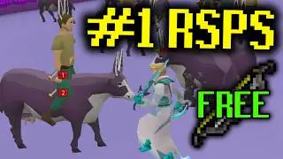 THE BIGGEST CUSTOM RSPS OF 2026?! IT EVEN HAS CUSTOM COWS! - Radiant RSPS