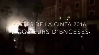 V Concurs d'enceses de la Ciutat de Tortosa