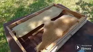 Медленно но уверенно готовлю  пчел в зиму, ставлю кормушки и даю КАС81.