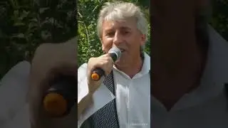 Ромашка біла. Олег Стаднік