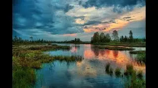 Не бывает напрасным прекрасное