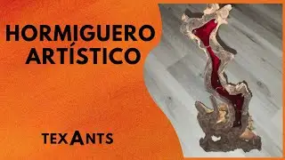 🚩EL Hormiguero de MADERA más DIFÍCIL que hice - Lujo y ARTE  para tus hormigas