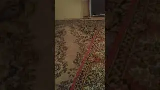 Оооооо