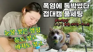 폭염 개고생 독박 캠핑 / 탈출을 꿈꾸는 귀여운 코봉이 / 어반 타프 + 폴러 텐트 / 여름 마지막 계곡캠핑 /