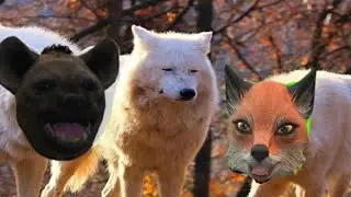Black Desert: The New Alpha