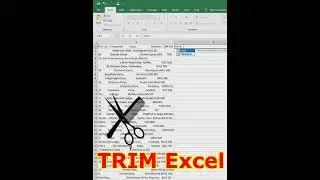 Remove Spaces Trim formula Excel how to
