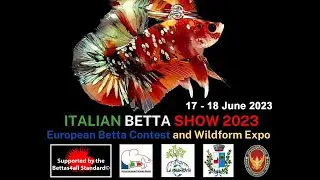 Italian Betta Show 2023