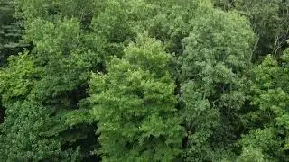 Drone, 1st try in the Upstate