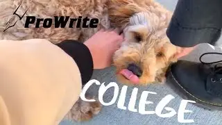 Typical Friday in College, Cornell University