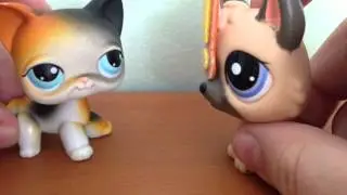 LPS Shorts: Volume 1