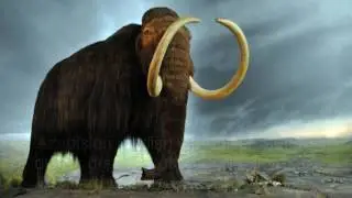 Buzul Çağının Filleri: Mamut