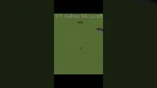 will bedrock survive? Minecraft