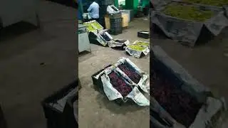 grape market apmc vashi