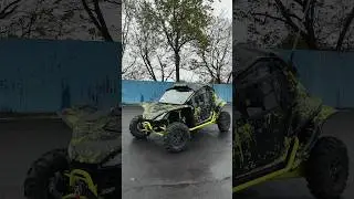 BRIGHT, BEAUTIFUL, CHINESE BUGGY☺️ 