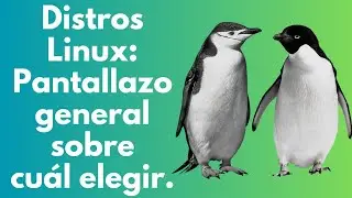 Distros Linux: pantallazo general sobre cuál elegir.
