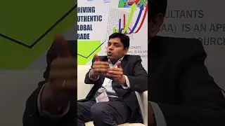 Practical & Realistic Investment Strategy for New Exporters | What is the right way to invest