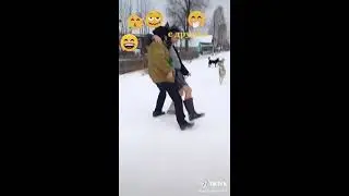 Тик ток подборка