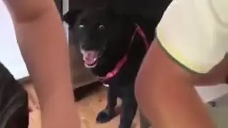 С днём кондитера