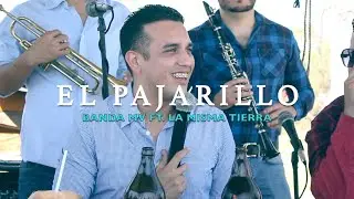 El Pajarillo - Banda Malecon