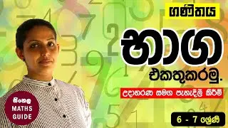 භාග එකතු කිරීම - ගණිතය - 6, 7 ශ්‍රේණි