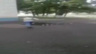 опа мусора